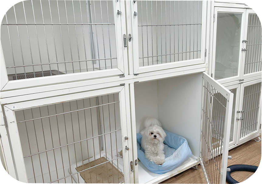 お部屋はケージタイプ、サークルタイプがあり、お好きなタイプをお選びいただけます。