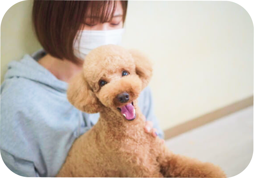 ワンちゃんのご利用について