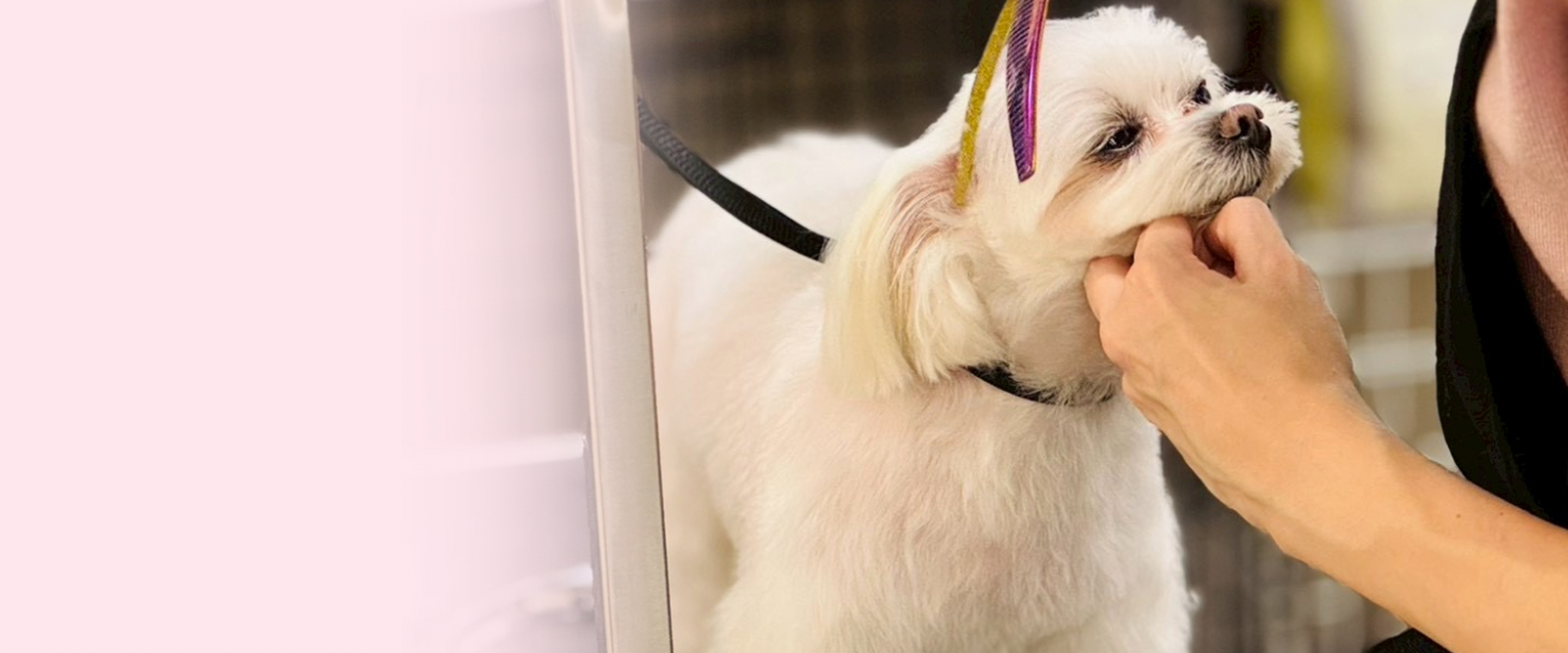 よくあるご質問