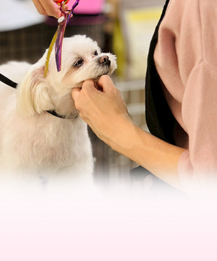 よくあるご質問